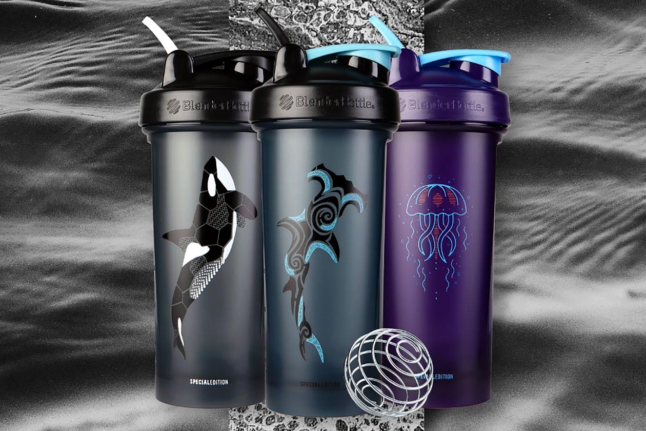 Blender Bottle Oceanic Magical Creatures Edition Classic w/ Loop V2 | Protein Shaker | Water Bottle 28oz