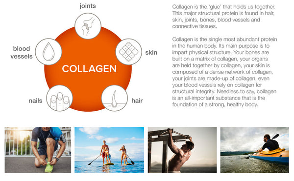 Youtheory, Collagen for Men  Powerful Protein + Essential Nutrients Vitamin C & Biotin  5000mg Pure Collagen Peptides - features