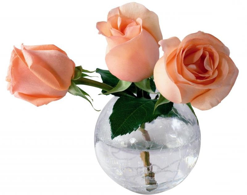 8 Bahan Ini Bisa Buat Rangkaian Bunga Mawar Tahan Lama ...