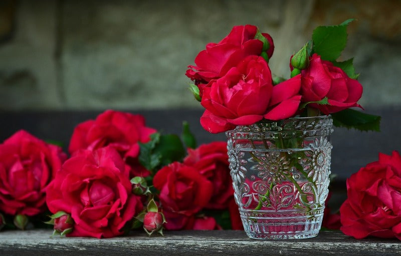 5 Tips Memilih Buket Bunga Mawar Terbaik untuk Valentine