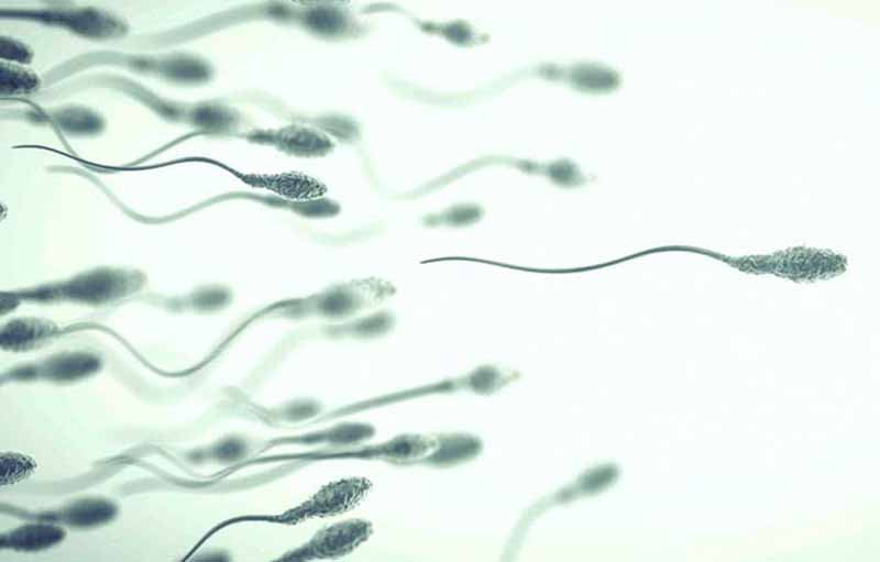 6 Mitos Soal Sperma Ini Ternyata Banyak Dipercaya Orang