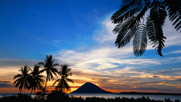 5 Hal yang Harus Anda Lakukan Saat Bulan Madu di Manado