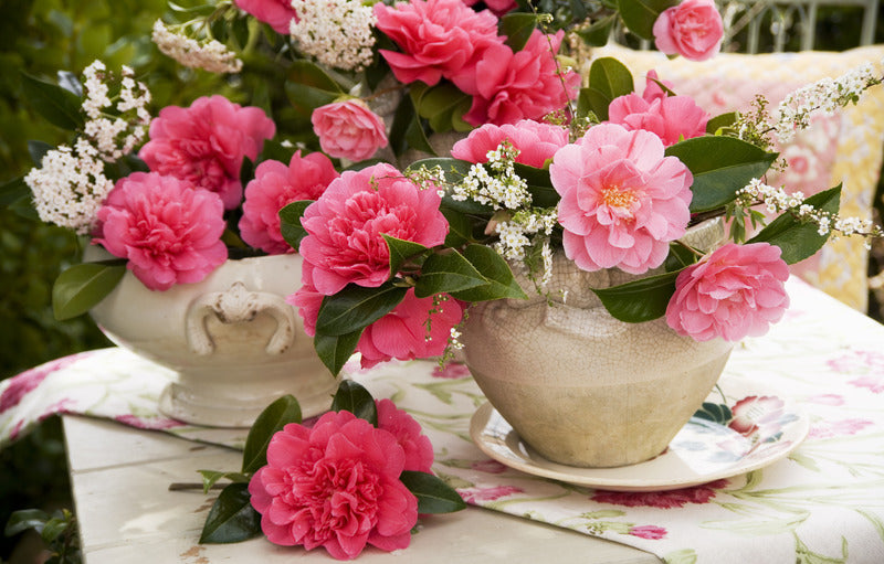 Tips untuk memastikan bunga segar bertahan lebih lama.