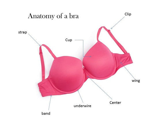 Sister Size Bra: Serupa Tapi Tak Sama