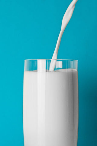 susu makanan mengandung protein