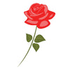 Arti mawar merah | AsmaraKu