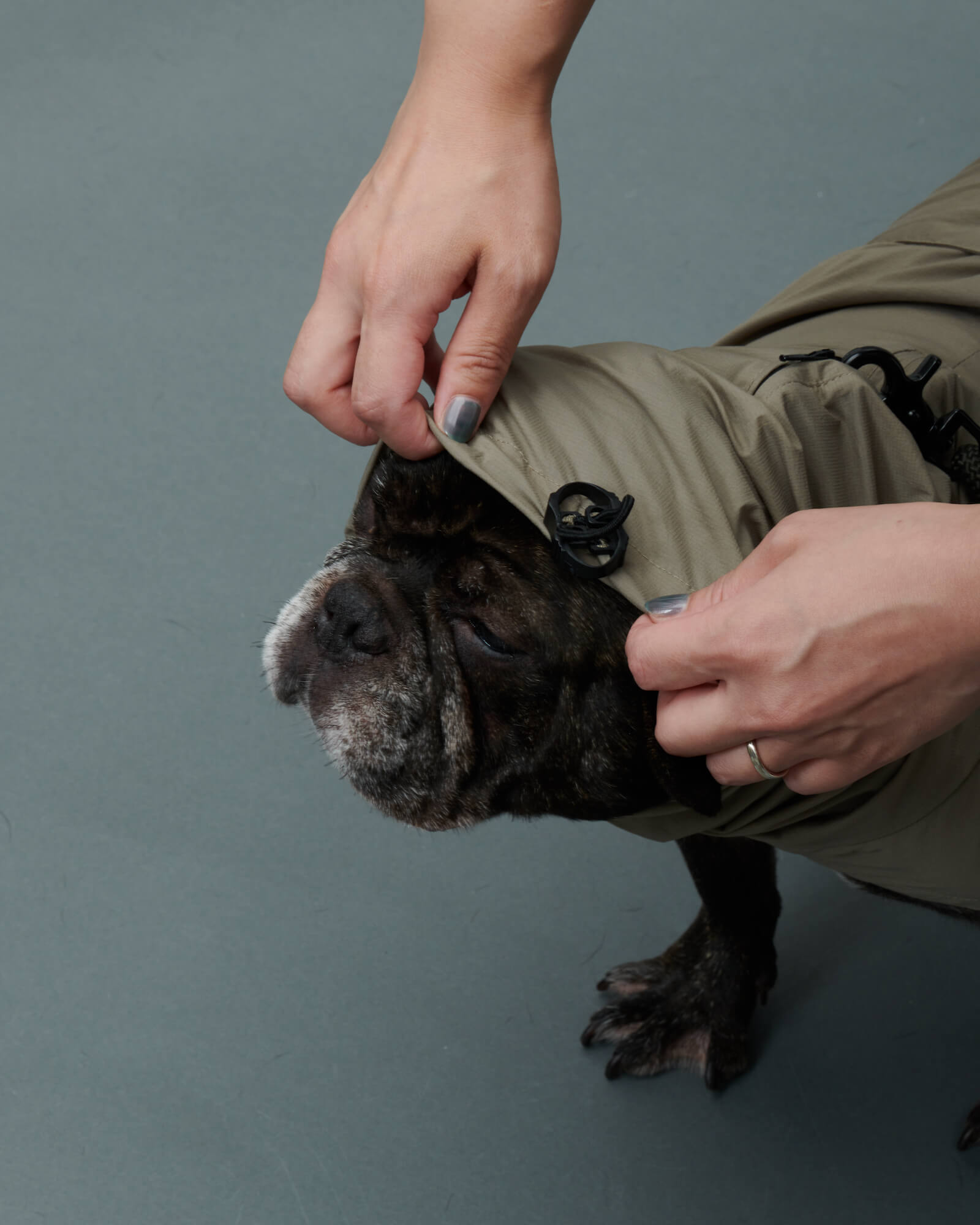 LITE RAIN COAT Ⅱ WEIMARANER GREY | ライトレインコート2