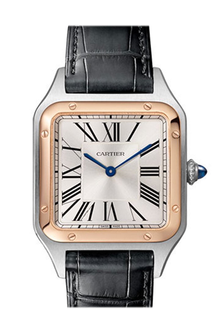 cartier w2sa0011