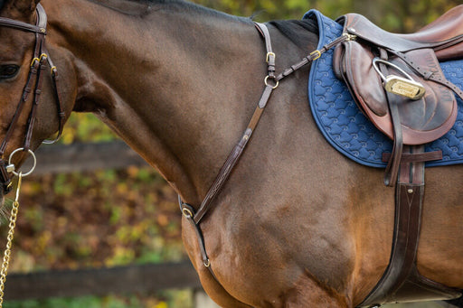 Signature by Antares Breastplate with Bridge — Vision Saddlery