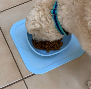 Flat Noses Easy Feed Slanted Anti-Slip Dog Feeding Bowl