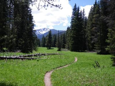 South Cottonwood Creek Trail, Bozeman Montana