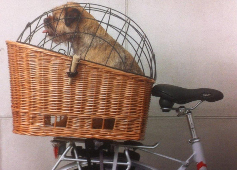 basil dog basket