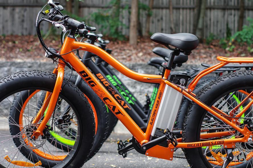 voltaire electric bikes