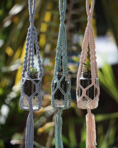 Composed Confusion | Macrame Plant Hanger