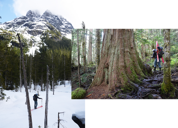 combined image of skiing and hiking on mt colonel foster vancouver island ski mission