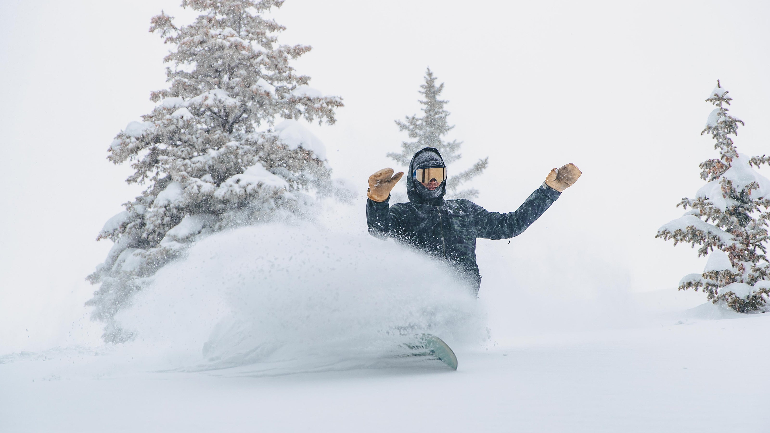 snowboarder in strafe sickbird making pow turn