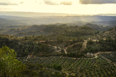 la vila de la granadella