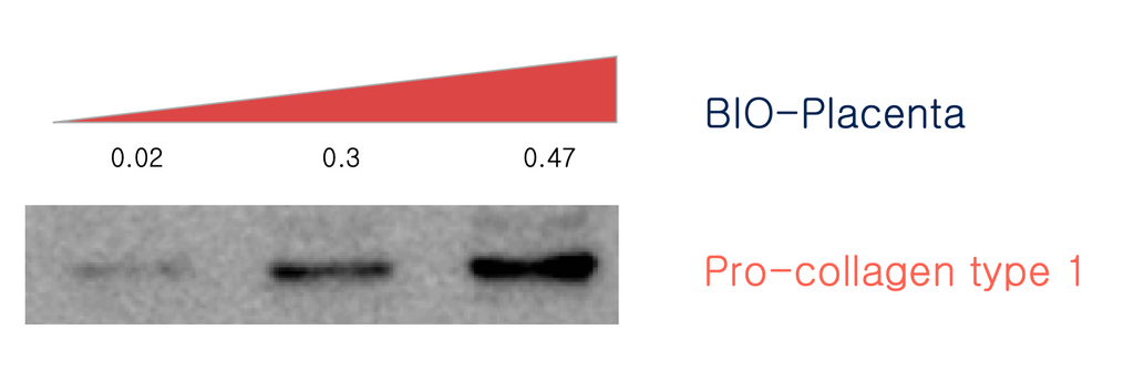 lab results showing bioplacenta and collagen growth