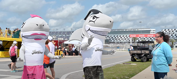 jeep beach sharks dancing