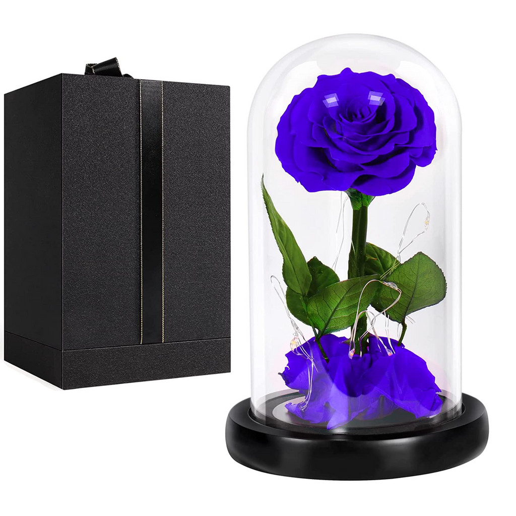 Beauty and the Beast Enchanted Forever Rose in Glass Dome with lights