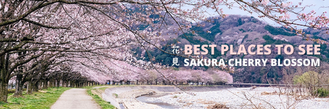 BEST PLACES TO SEE CHERRY BLOSSOM