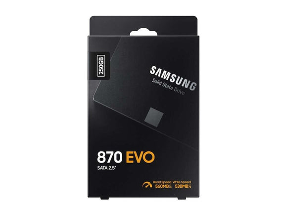 Meander utålmodig forbandelse SAMSUNG 870 EVO 2.5" SSD 250 GB