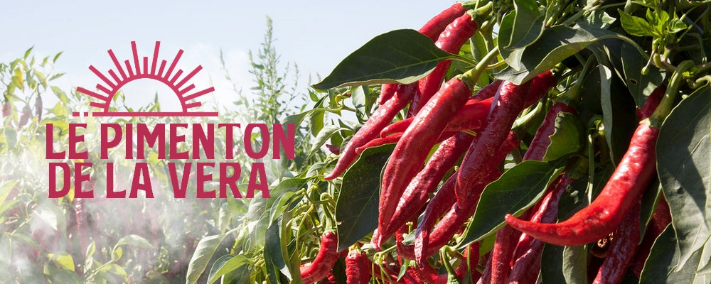 Piment de la vera utilisé dans notre sauce piquante TWIST