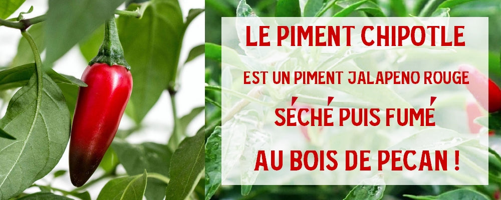 Piment chipotle fumé et séché au bois de Pécan