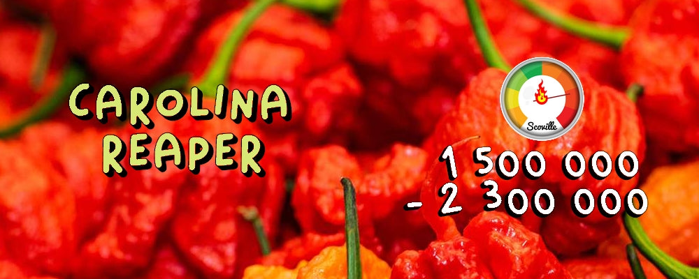 Carolina reaper