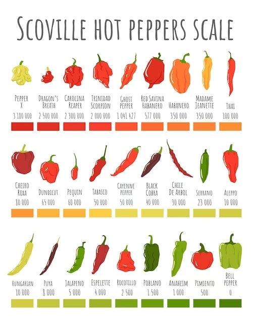 Echelle de Scoville