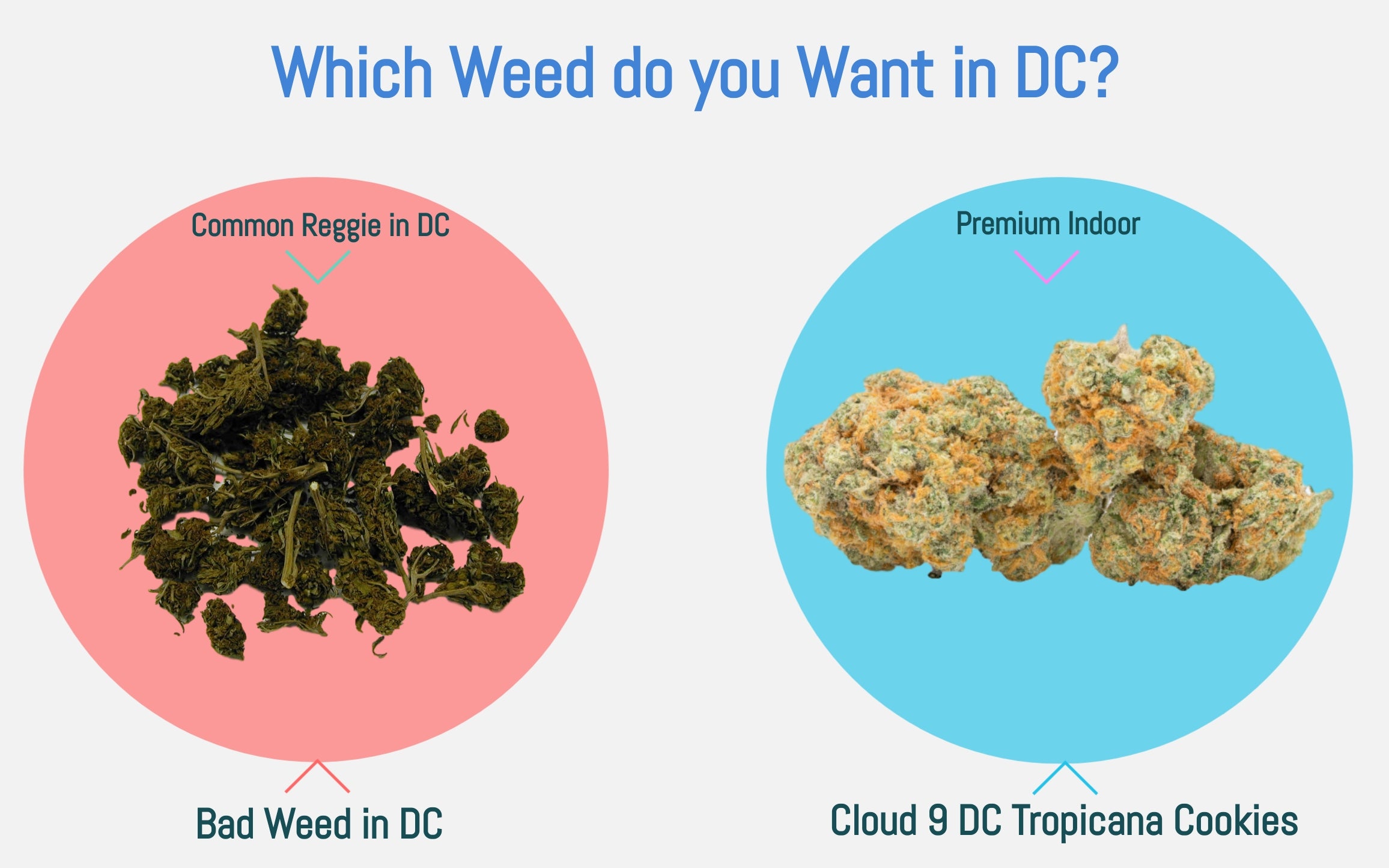 Good or bad weed in DC?