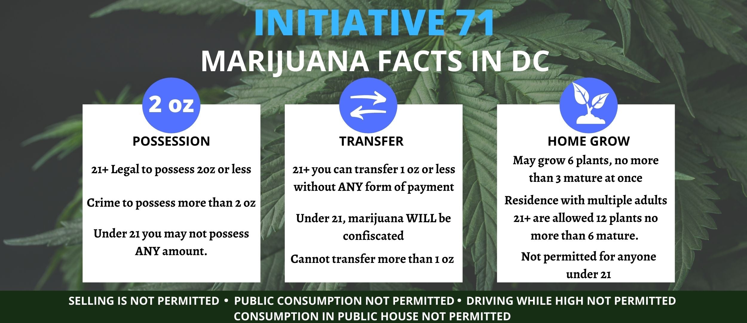 initiative 71 marijuana facts in dc
