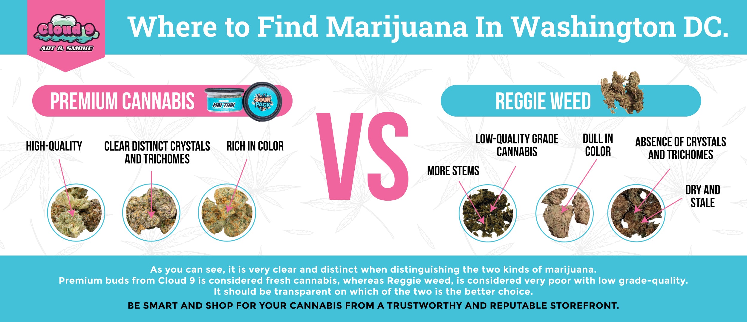where to find marijuana in washington dc