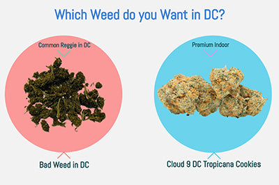 weed in dc