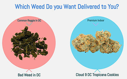 DC Weed Delivery