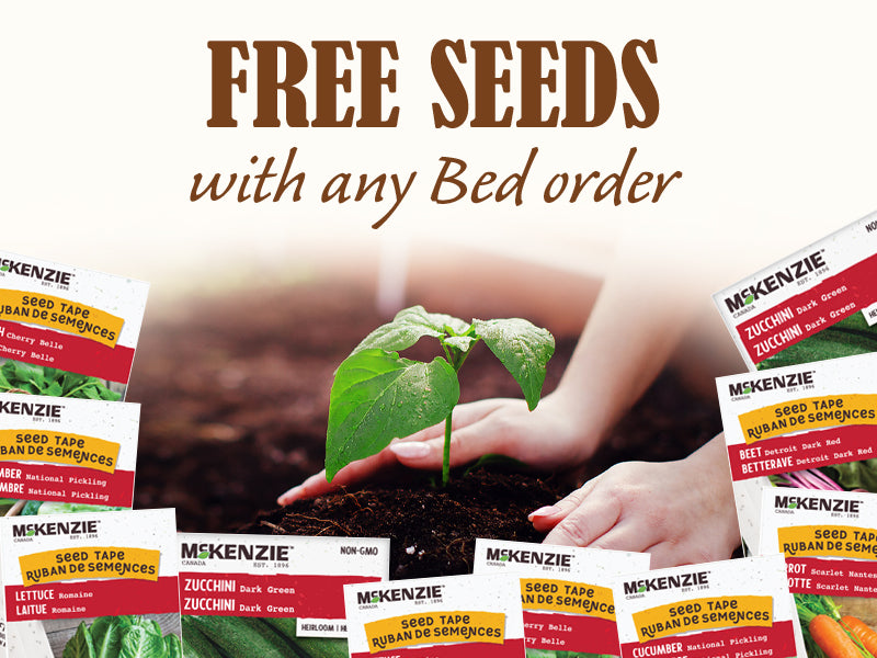 free seeds with every bed order