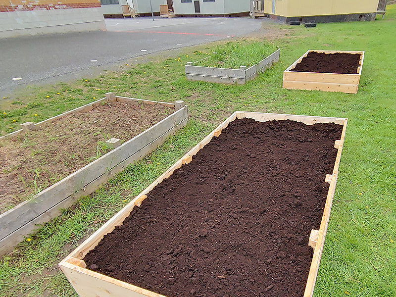school garden - rectangular garden bed