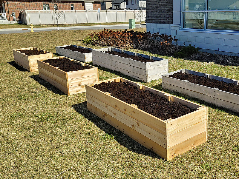 school garden - rectangular garden beds
