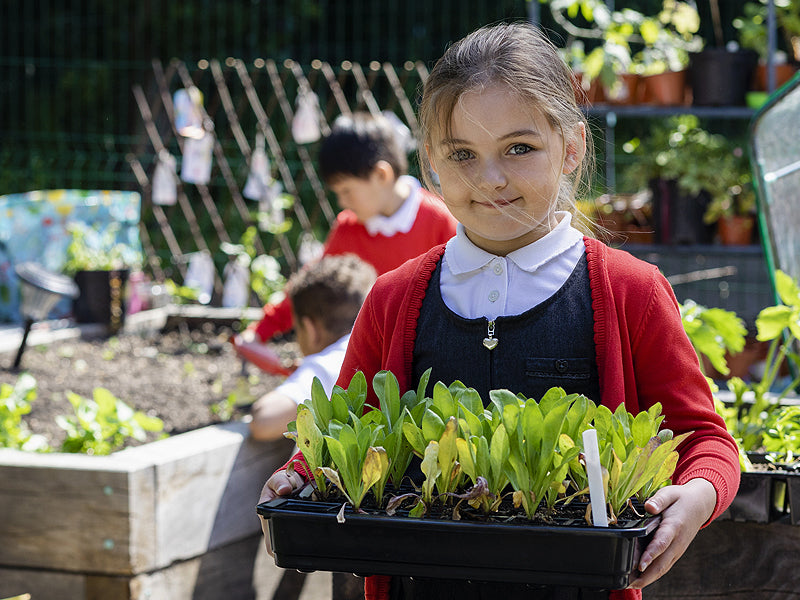 school gardens