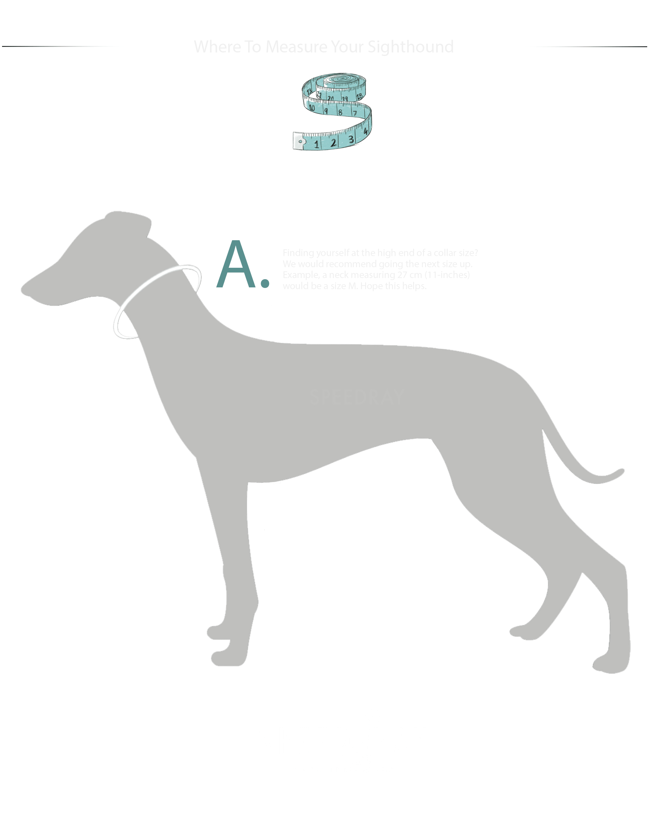 Dog collar sizing guide