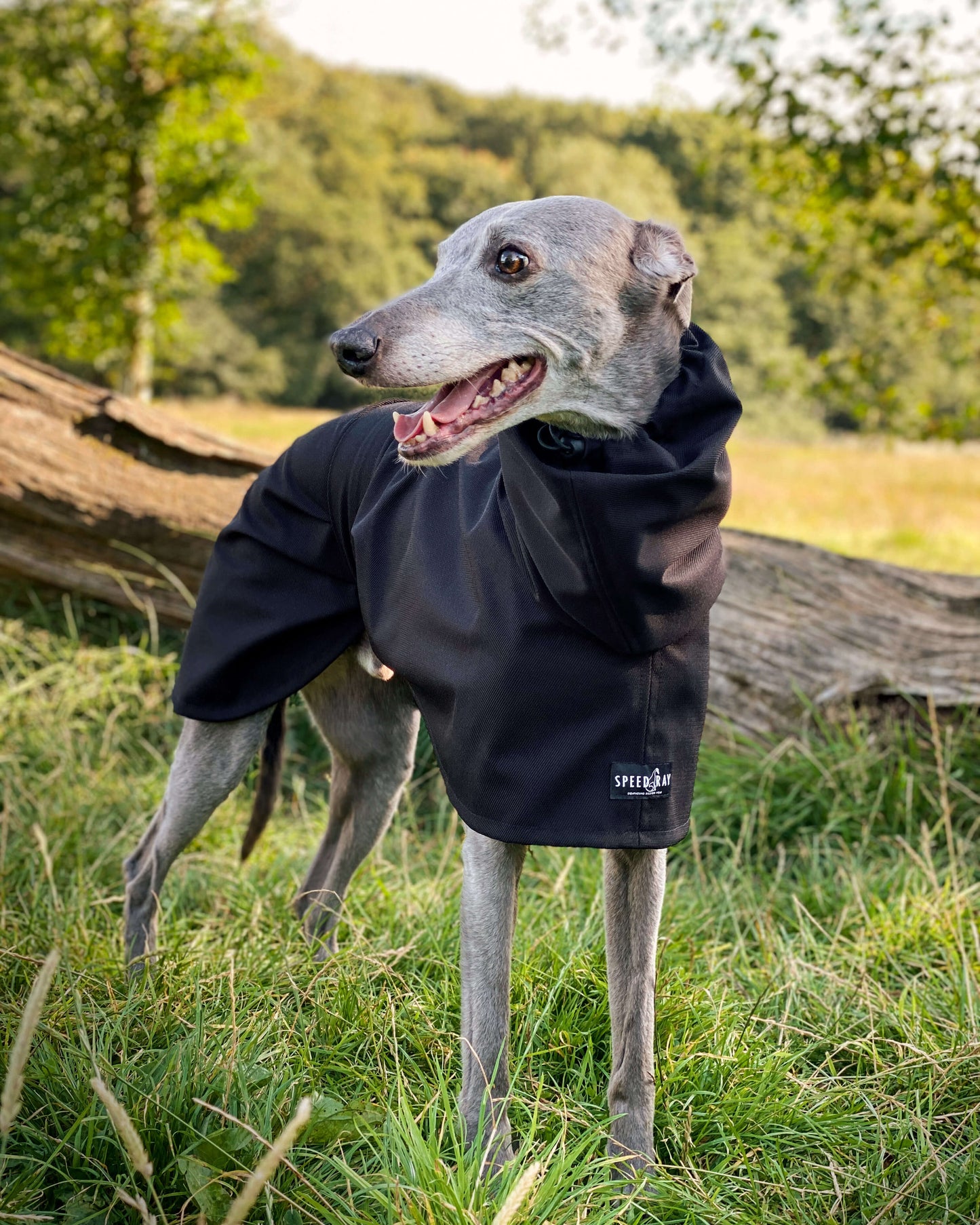 whippet barbour coat