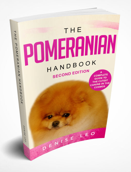 9 Best Foods for Pomeranians: Pom Pom Chow Down!