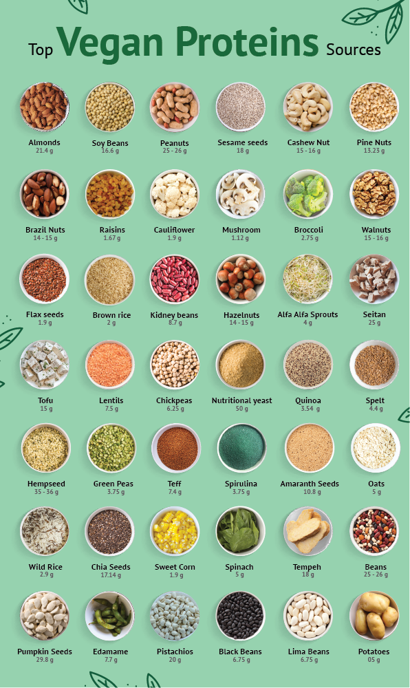 Vegan Protein Sources