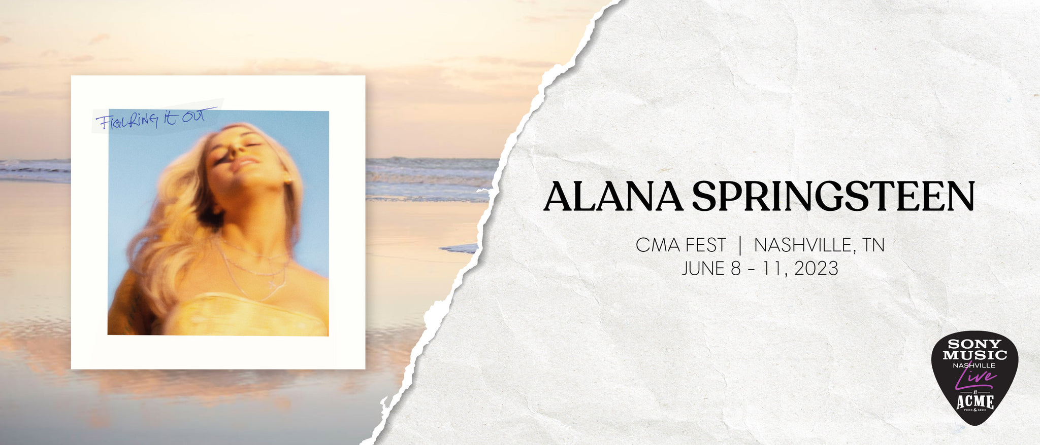 Alana Springsteen Cover Image