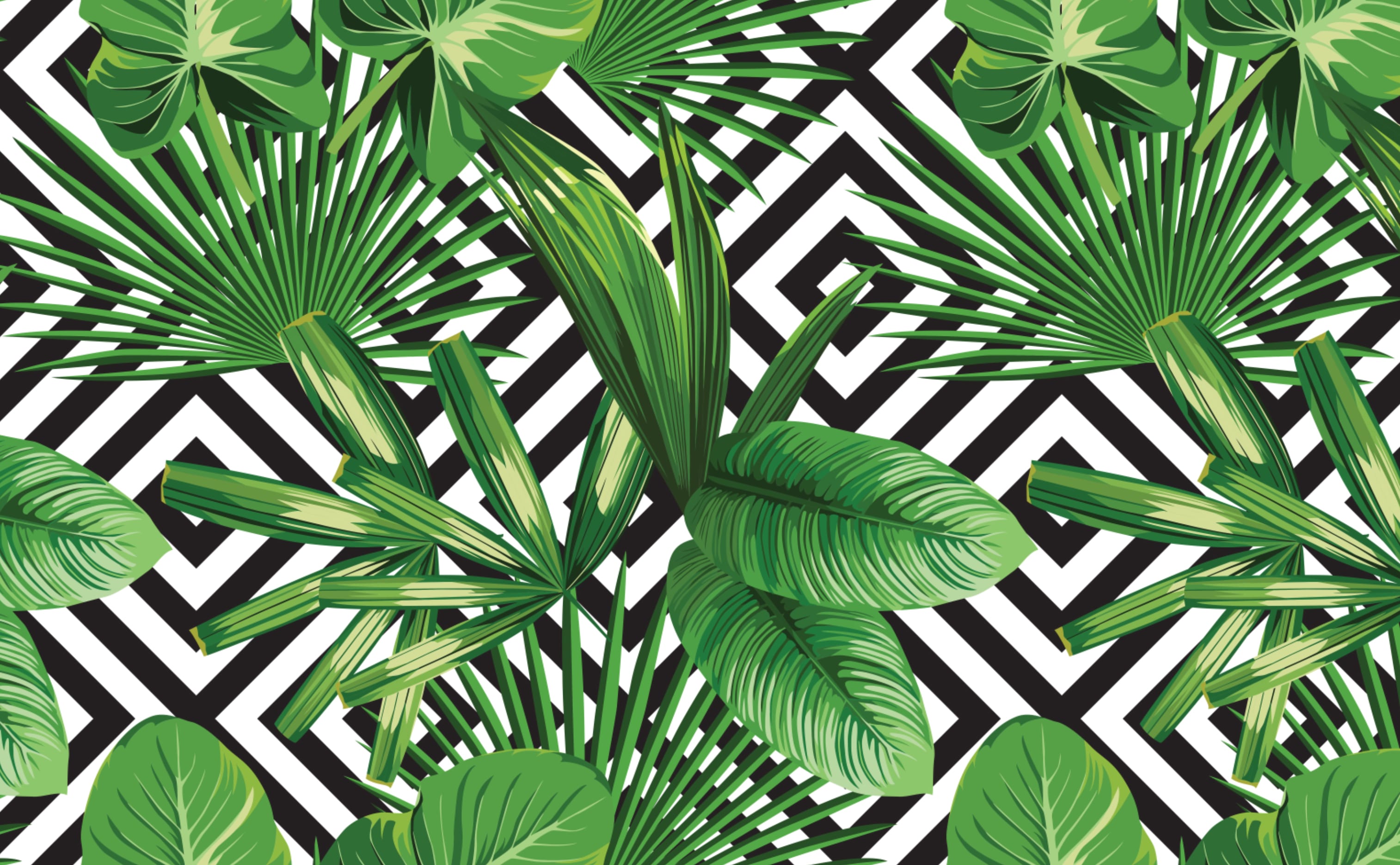 Palm Leaves Tropical Wallpaper for Walls | Palms Over Diamonds