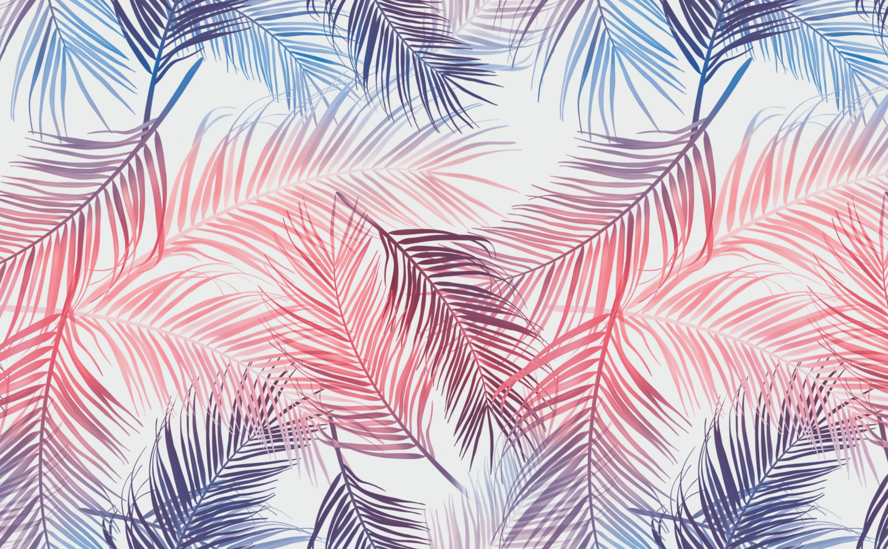 Palm Leaves Wallpaper for Walls | Rainbow Palms