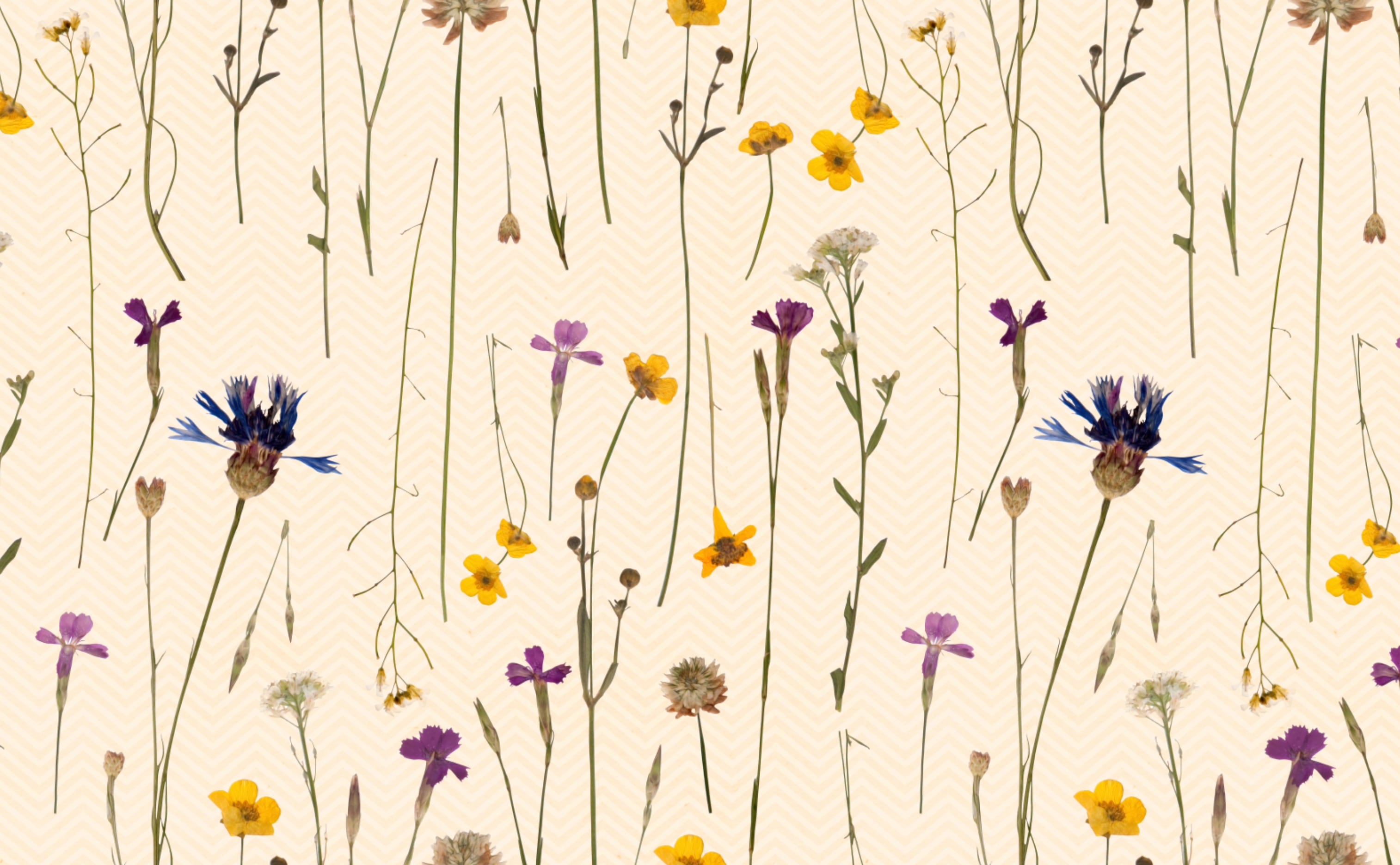 900 Flower wallpaper ideas in 2023  flower wallpaper wallpaper flower  phone wallpaper