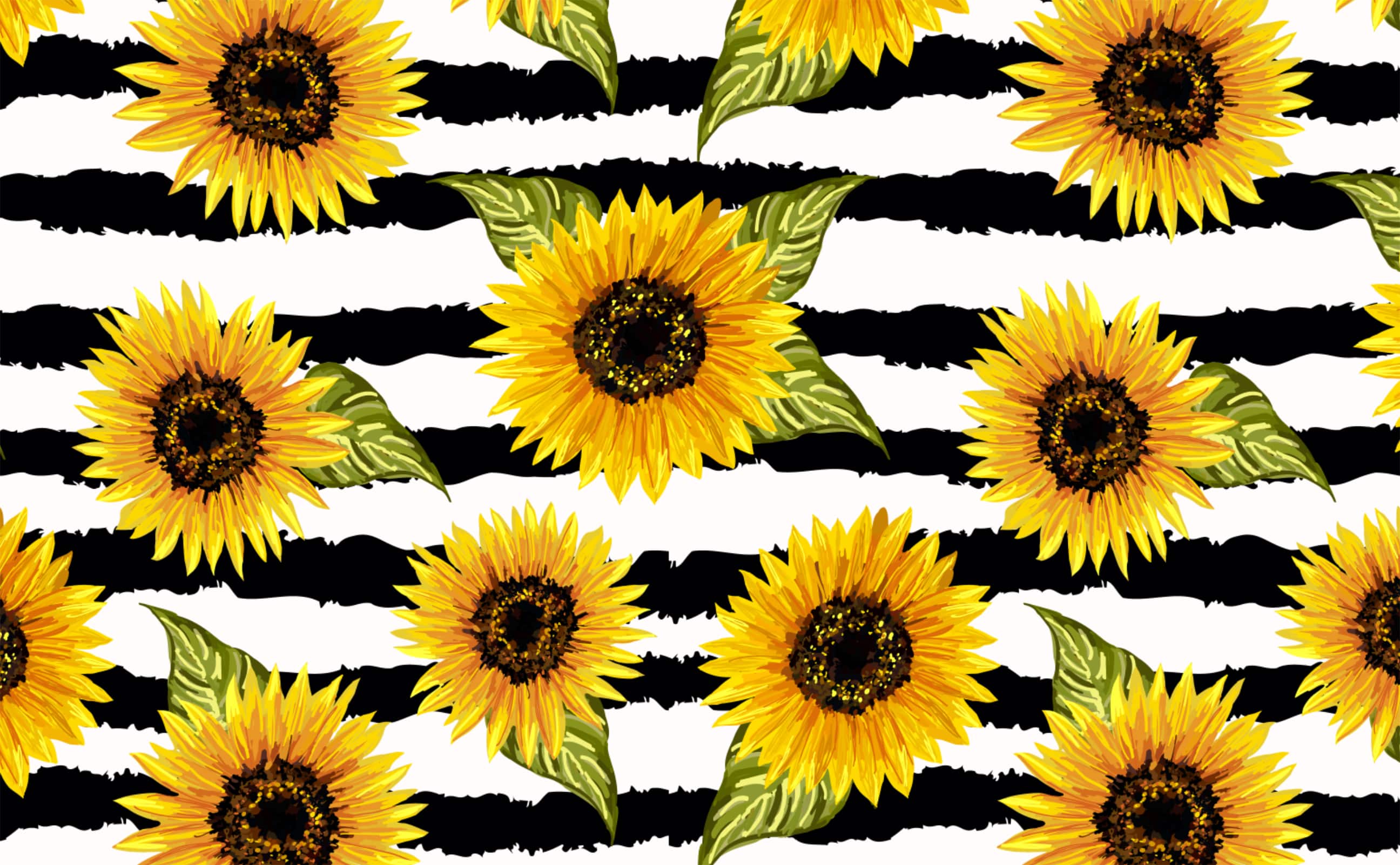 w0548_1s_Vibrant-sunflower-on- ...