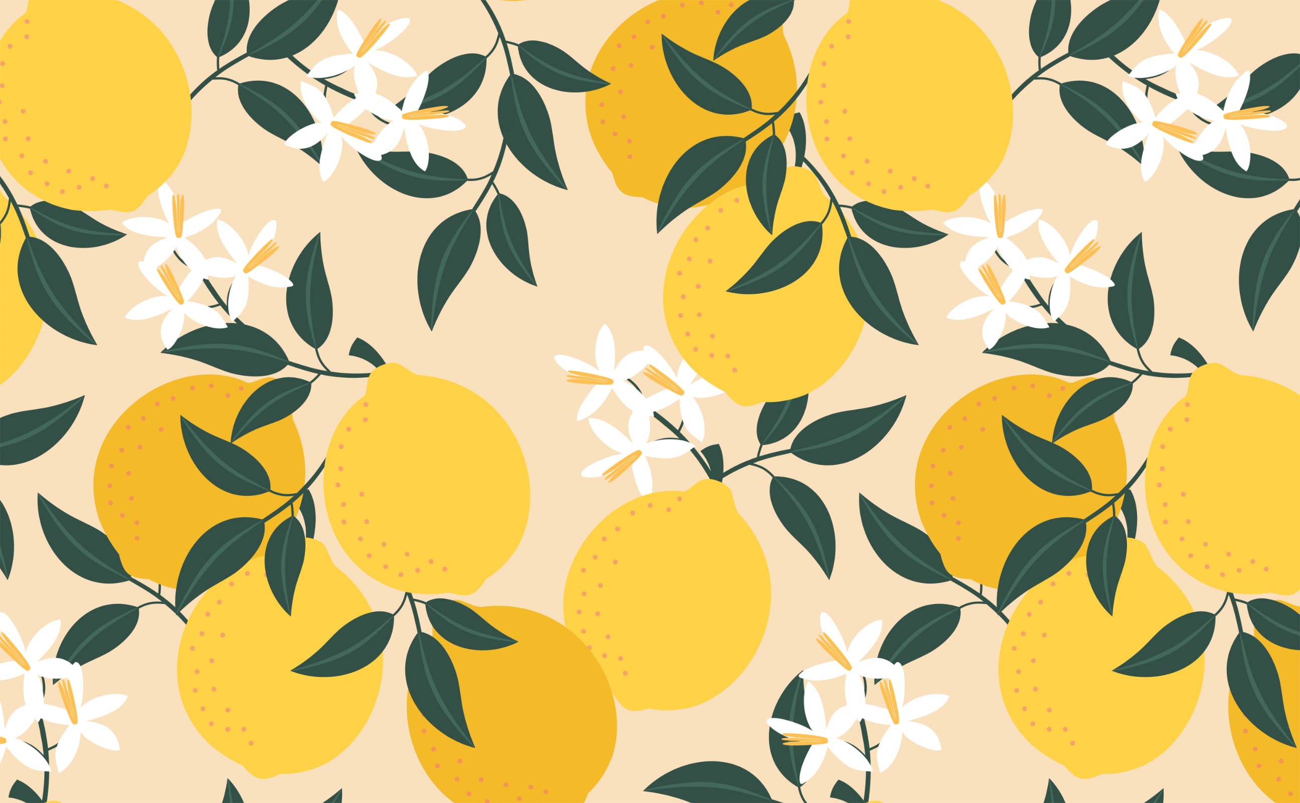 Lemon Grove Peel And Stick Removable Wallpaper  Love vs Design