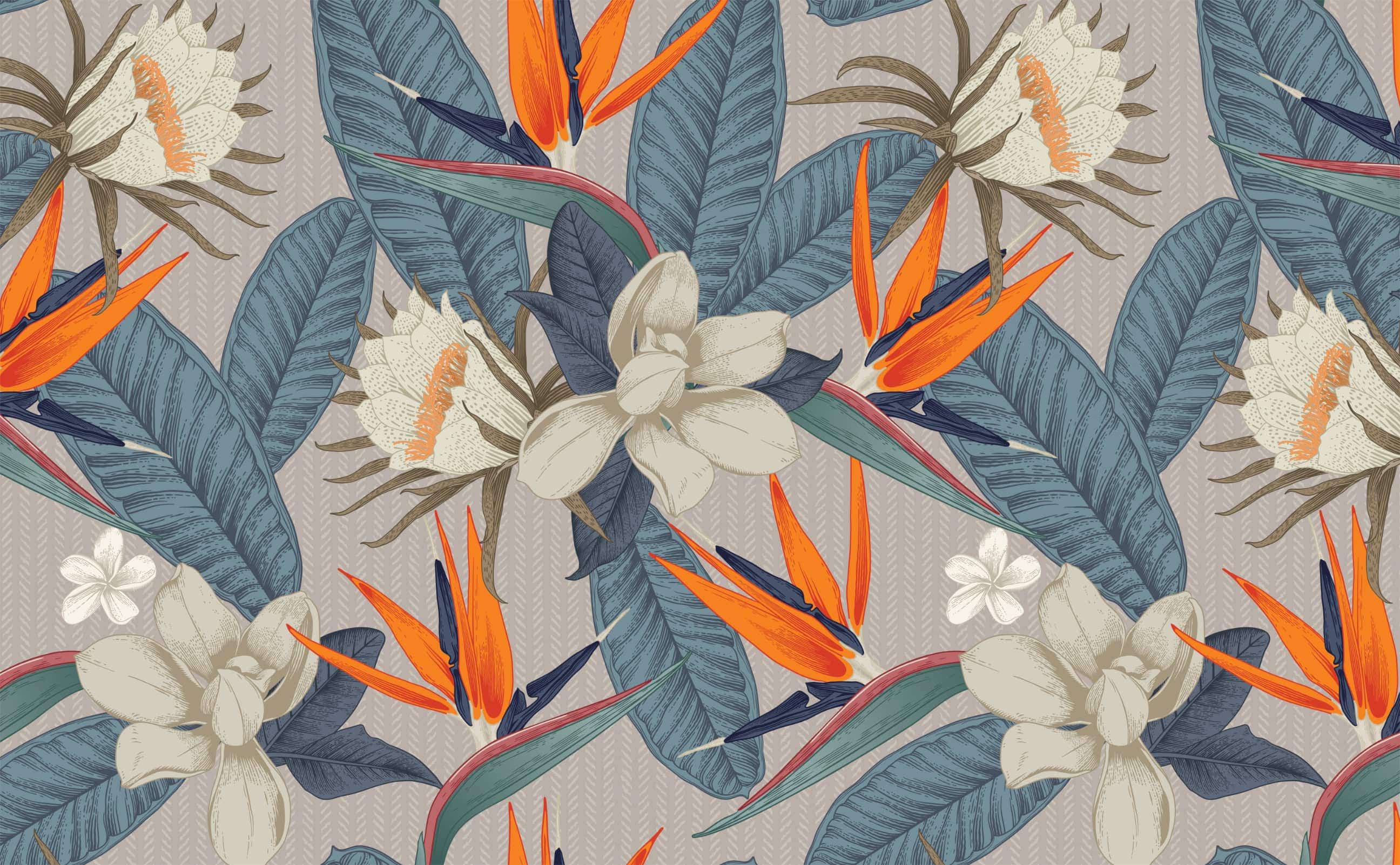 Tropical Birds of Paradise Removable Wallpaper  Shop Now  Tempaper  Co